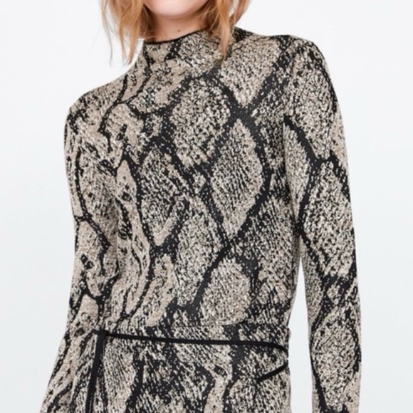 Zara Snake Knit - Picture 7 of 7